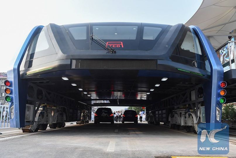 bus tinggi